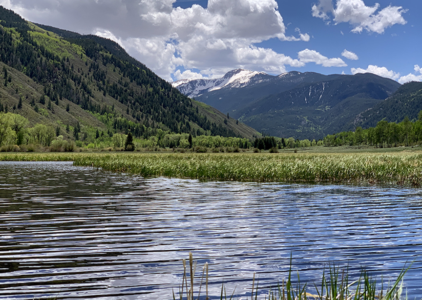 The fen at North Star Nature Preserve in 2022.