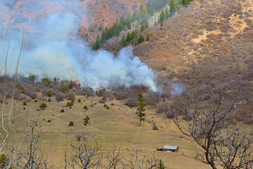 2016 Prescribed burn at Filoha Meadows.